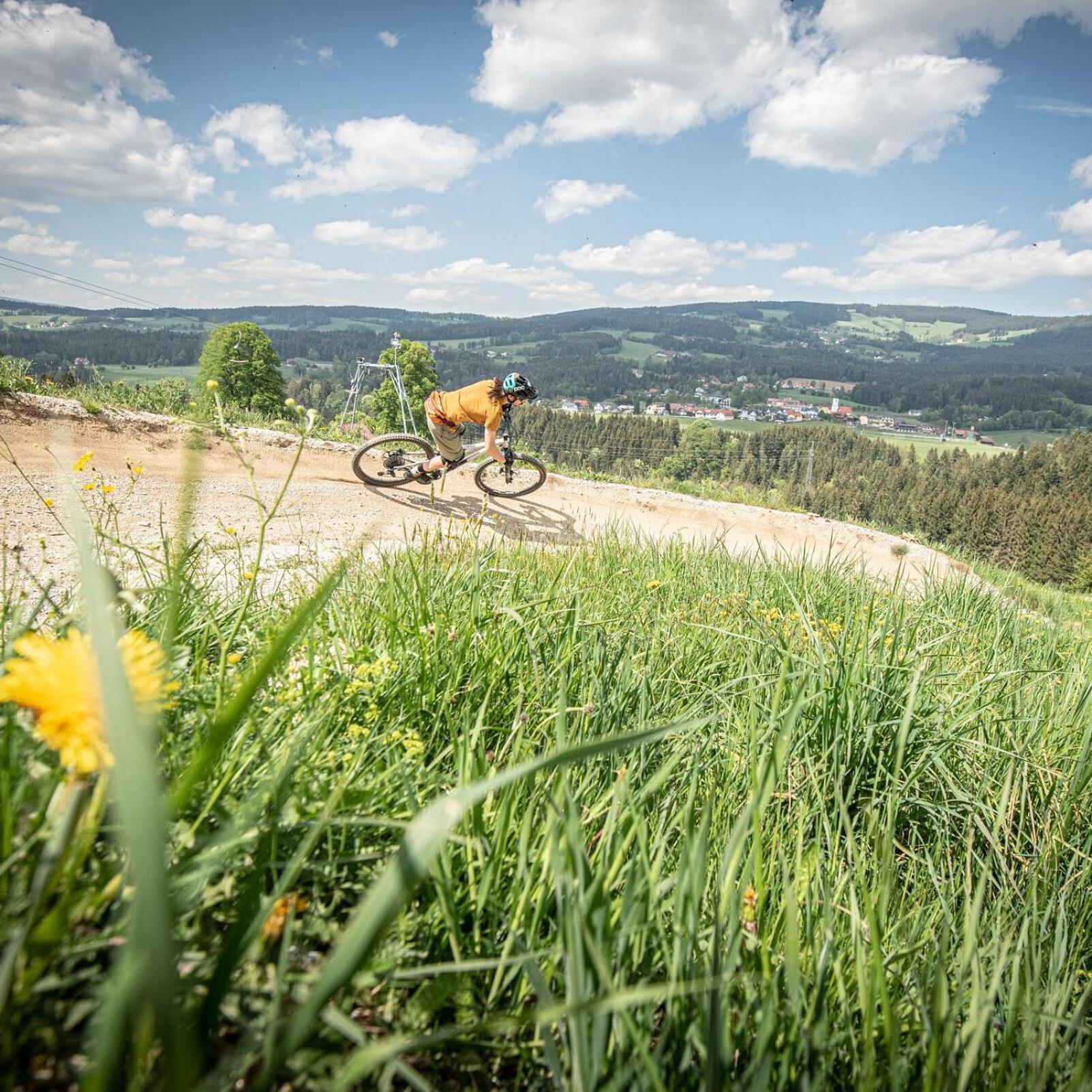 Gasthof Wiesenhofer Hotel Miesenbach  Luaran gambar